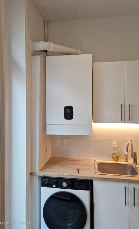 Une cuisine avec une machine à laver, une chaudière et un évier sous un éclairage.